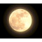 Moonglow