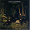 Evergreen