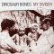 My Divider