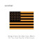 Songs from an American Movie Vol. Two: Good Time for a Bad Attitude