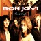 Обложка альбома Bon Jovi These Days 1995
